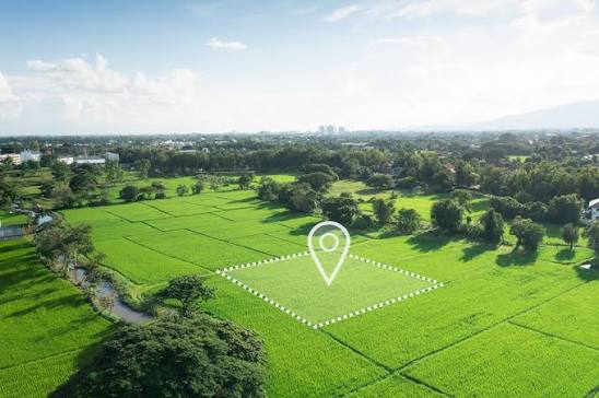 Surveying & Geospatial